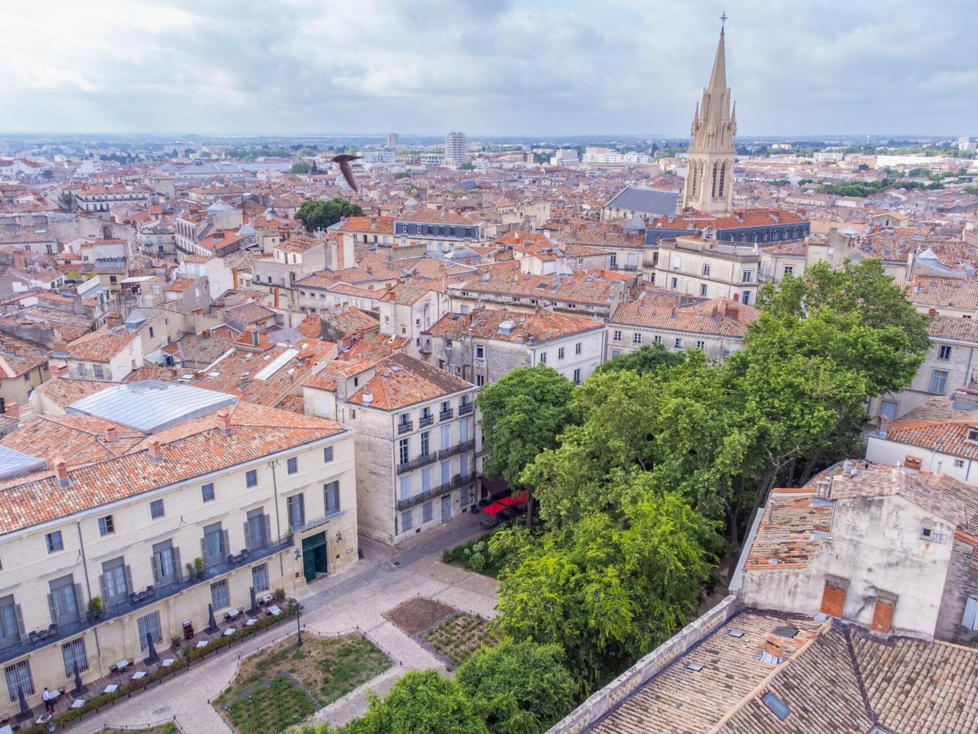 Le Platane de la canourgue Montpellier Esterno foto